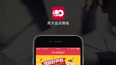 英大金点
